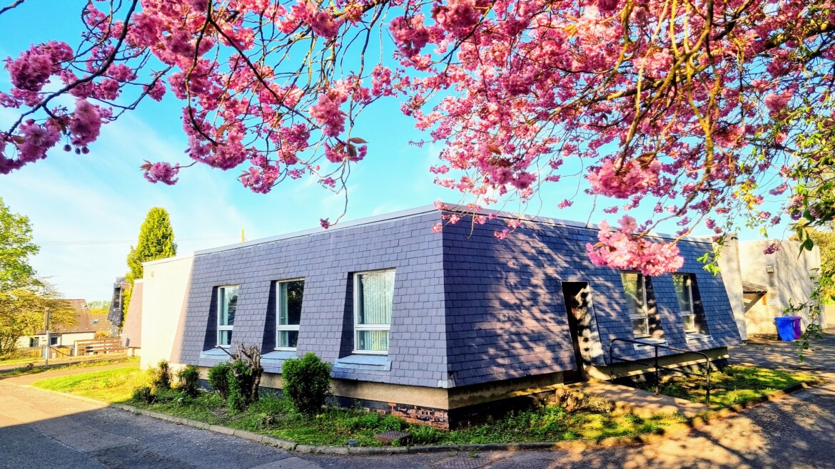 Senāsun Pūjā (Monthly Monastery Support)